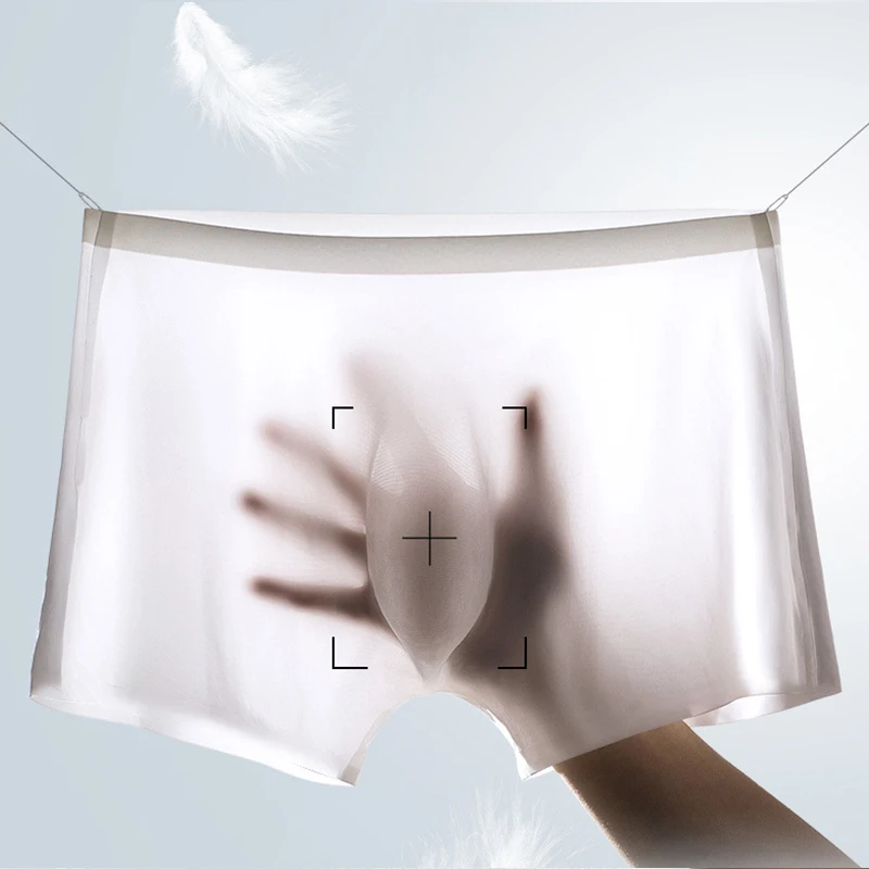 10 Pcs/Lot Men's Summer Ice Si - Boxer Shorts Modal recension och pris
